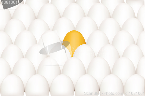 Image of unique egg