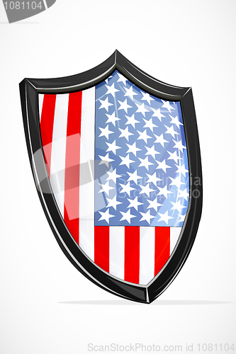 Image of usa shield