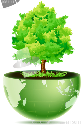 Image of green globe