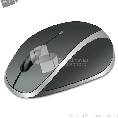 Image of computer mouse