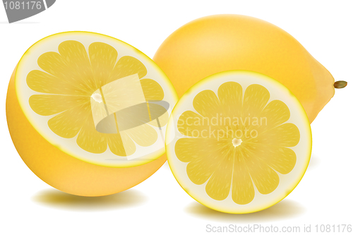 Image of orange slices