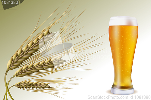 Image of grain with beer