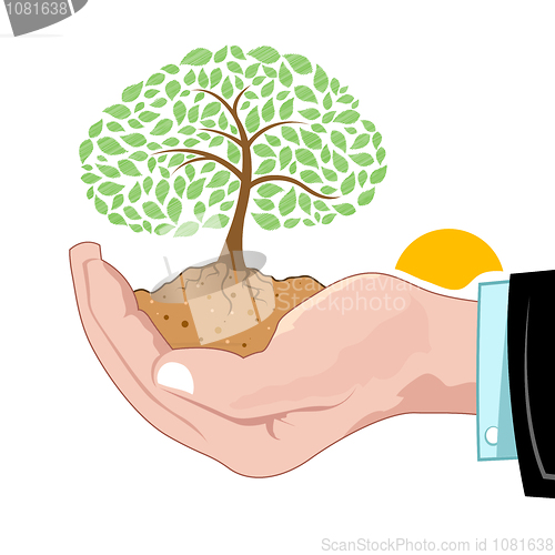Image of natural tree growing on hand