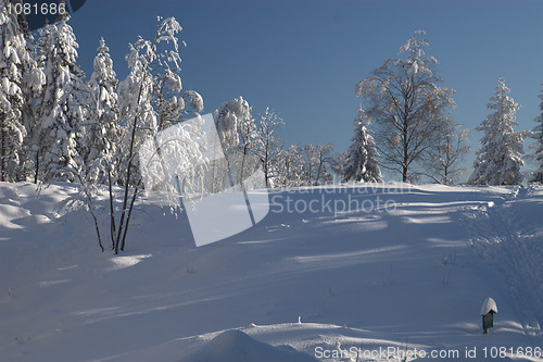 Image of winter hill