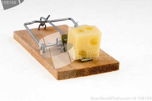 Image of Mouse trap with cheese.