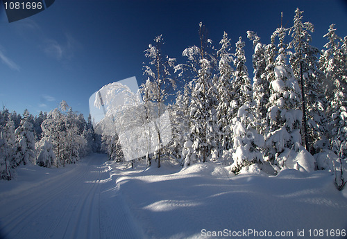 Image of Cross country heaven