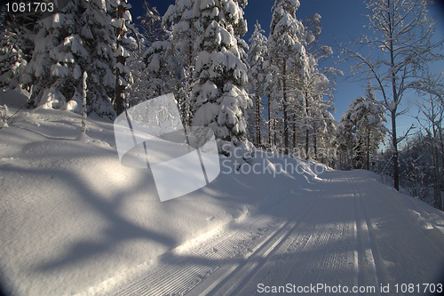 Image of Cross country heaven