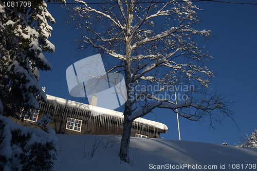 Image of Winter cottage