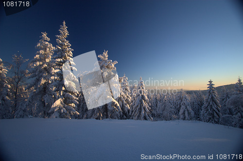 Image of Winter wonderland sunset