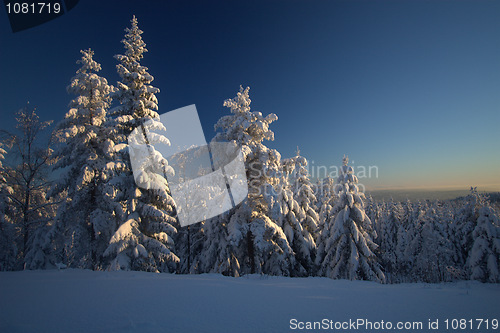 Image of Winter wonderland sunset