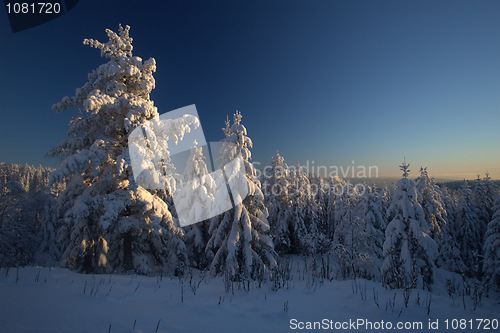 Image of Winter wonderland sunset