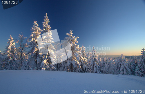 Image of Winter wonderland sunset