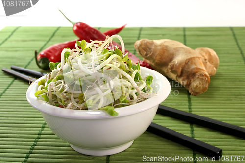 Image of Radish sprouts