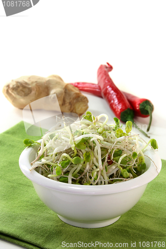 Image of Radish sprouts