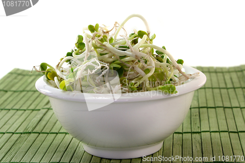 Image of Radish sprouts