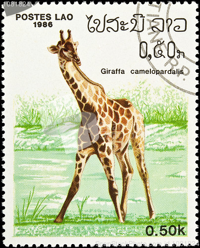 Image of Giraffe stamp.