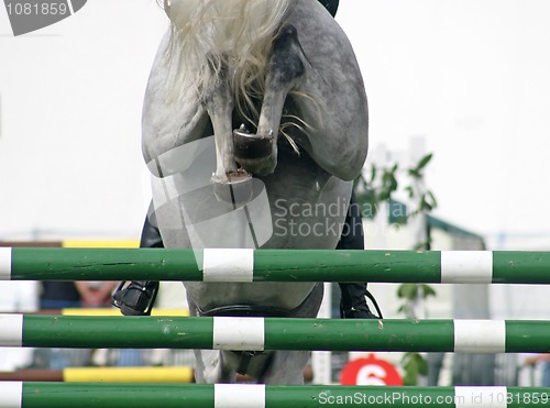 Image of Horse Jump