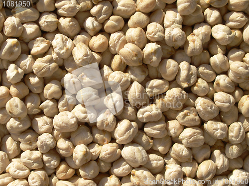 Image of Chickbeans