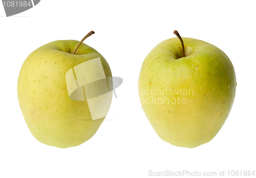 Image of Ripe apples