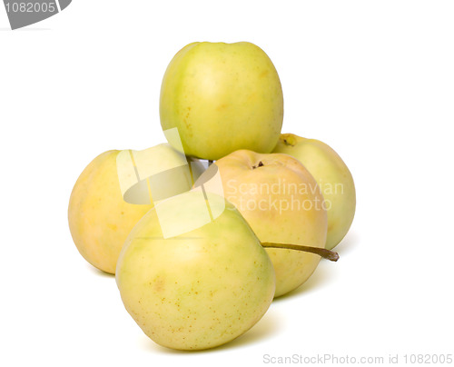 Image of Apples.