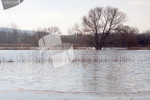 Image of Flood in Germany