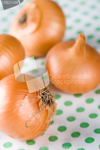 Image of onions on textile background