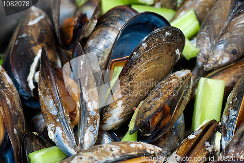 Image of Belgian style mussels