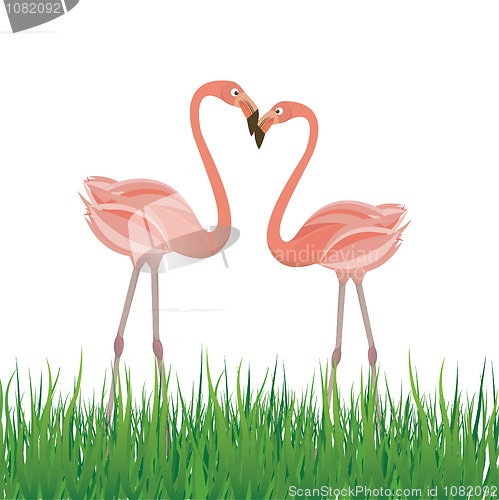 Image of Two flamingo in love. Vector illustration