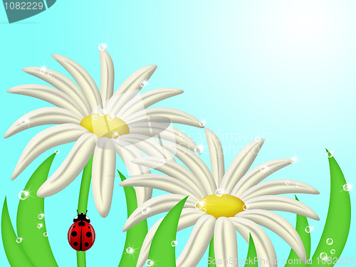 Image of Ladybug Climbing Up Daisy Flower Stem