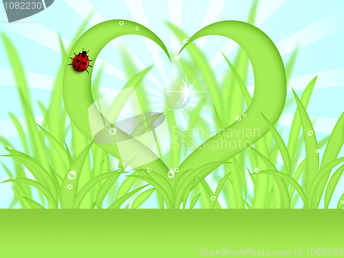 Image of Heart Shape Grass with Dew Drops