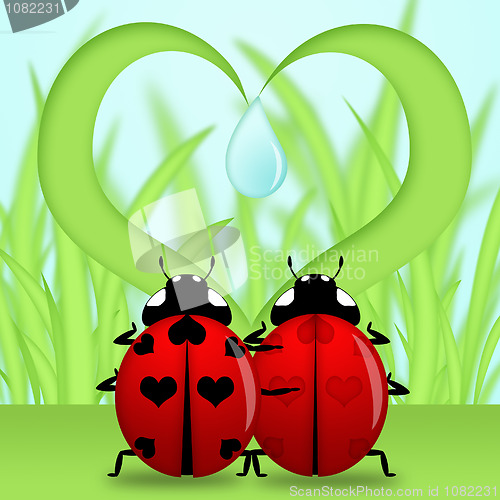 Image of Ladybug Couple Under Heart Shape Grass