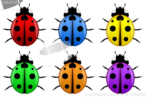 Image of Ladybugs in Different Colors Isolated