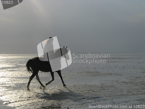 Image of Horsewoman at low tide.