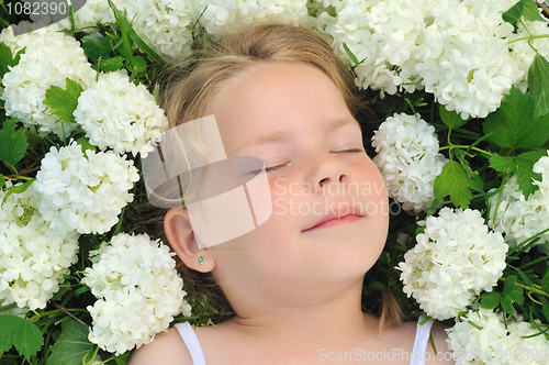 Image of Little girl laying in flowers - snowball