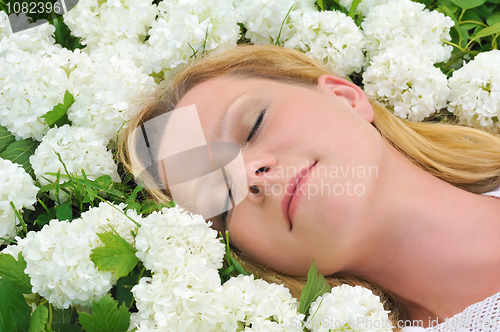 Image of Young woman laying in flowers - snowballs