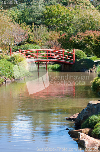 Image of beautiful garden and park