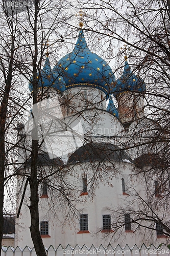 Image of Orthodox Cathedral of the Nativity in Suzdal