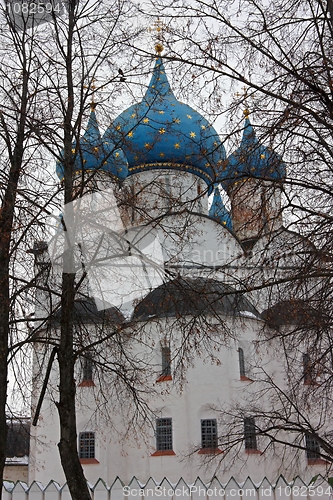 Image of Orthodox Cathedral of the Nativity in Suzdal