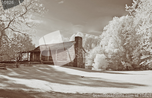 Image of Infrared shot of an old cabin in Cades Cove, TN, Great Smoky Mountains National Park. Modified 6MP camera with 720 nm IR filter to enable faster shutter speed.