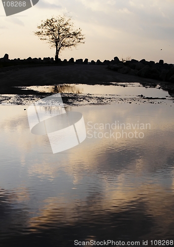 Image of Reflections 02