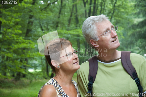 Image of Walking in the woods