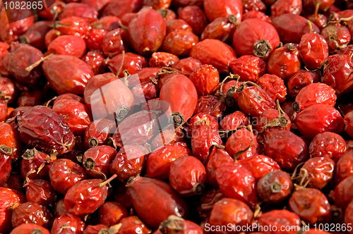 Image of Dried berries of a dog-rose