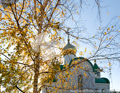 Image of Birch on a background of a chapel