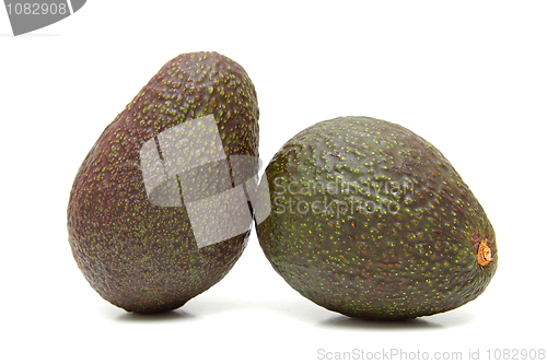 Image of Two avocados isolated