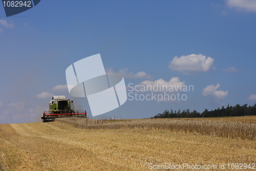 Image of golden corn field with harvester