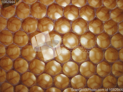 Image of beeswax texture without honey