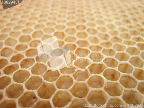 Image of beeswax texture without honey