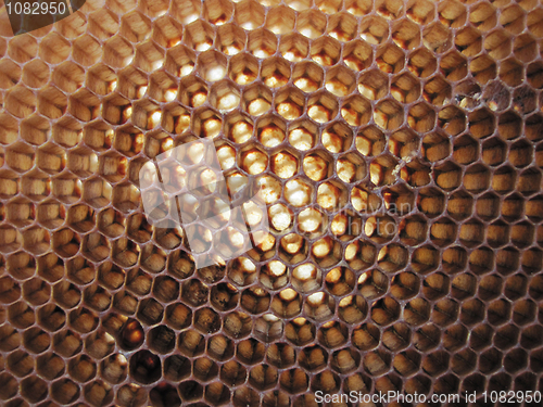 Image of beeswax texture without honey