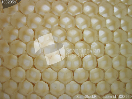 Image of beeswax texture without honey