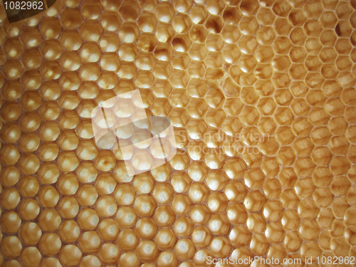 Image of beeswax texture without honey